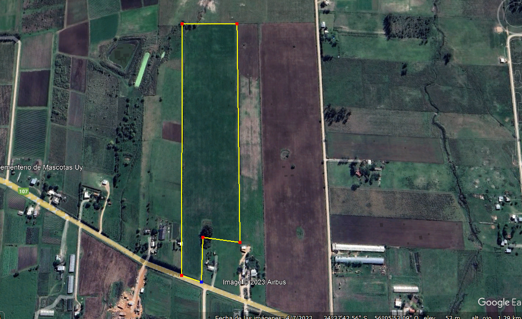 Venta Campo, Sauce.-