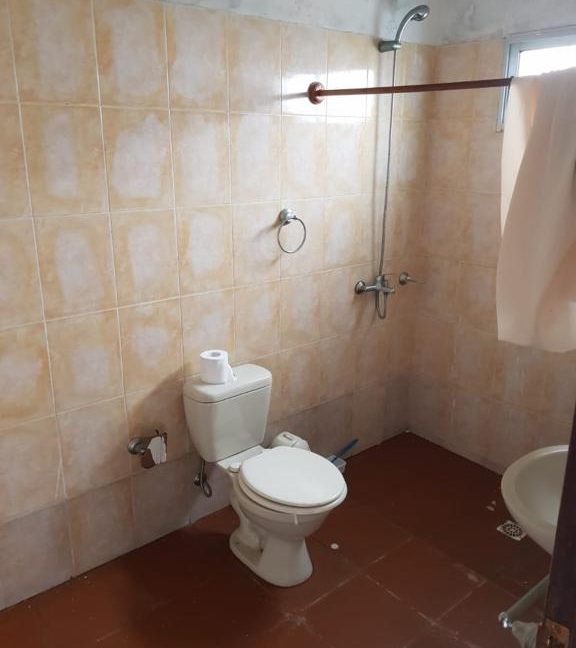 f4a0f18d-641c-4033-a79e-b720b1c39c25_576x768